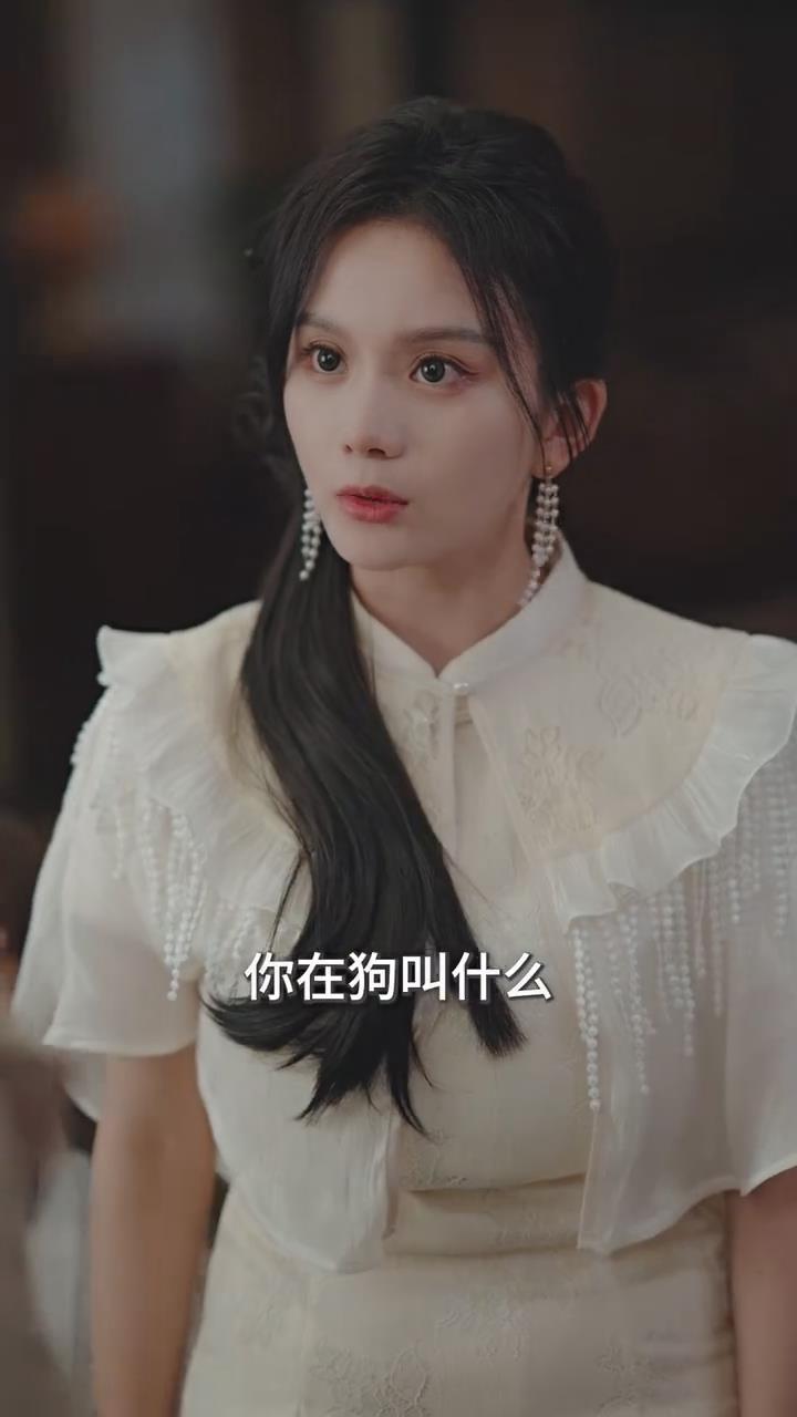 少帅天天求复婚